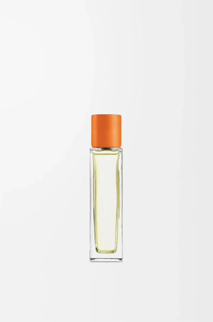 Ambientador de flor de naranjo Mandarina brillante Ambientador de flor de naranjo Mandarina brillante