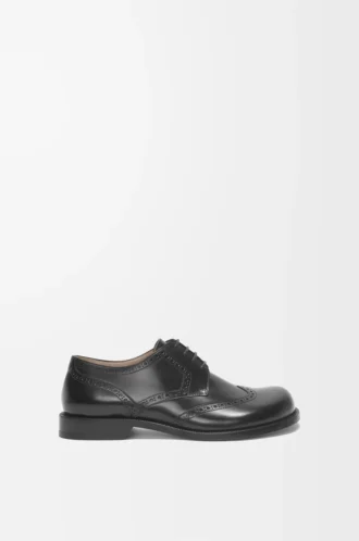 Derby brogue Campo en piel de becerro cepillada Negro