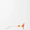 Gafas de sol Daisy Field Naranja Gafas de sol Daisy Field Naranja