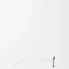 Gafas de sol Seashell Gold Gafas de sol Seashell Gold