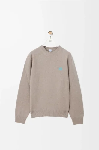 Jersey de lana gris claro Jersey de lana gris claro