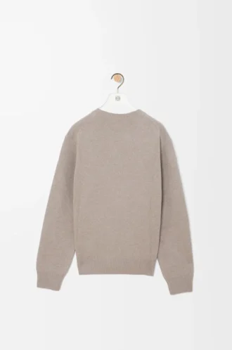Jersey de lana gris claro Jersey de lana gris claro