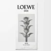 LOEWE 001 Man Eau de Toilette 50 ml Incoloro LOEWE 001 Man Eau de Toilette 50 ml Incoloro