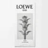 LOEWE 001 Man Eau de Toilette 50 ml Incoloro LOEWE 001 Man Eau de Toilette 50 ml Incoloro