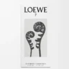 LOEWE 7 Eau de Toilette 50 ml Incoloro LOEWE 7 Eau de Toilette 50 ml Incoloro