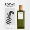 LOEWE Esencia Eau de Parfum 50 ml Incoloro LOEWE Esencia Eau de Parfum 50 ml Incoloro
