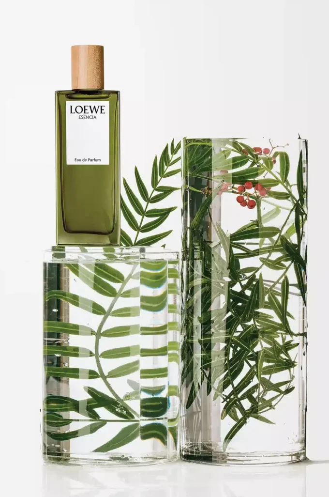 LOEWE Esencia Eau de Parfum 50 ml Incoloro LOEWE Esencia Eau de Parfum 50 ml Incoloro