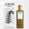 LOEWE Esencia EDT 50 ml Incoloro LOEWE Esencia EDT 50 ml Incoloro