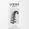 LOEWE Esencia EDT 50 ml Incoloro LOEWE Esencia EDT 50 ml Incoloro