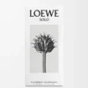 LOEWE Solo Eau de Toilette 50 ml Incoloro LOEWE Solo Eau de Toilette 50 ml Incoloro