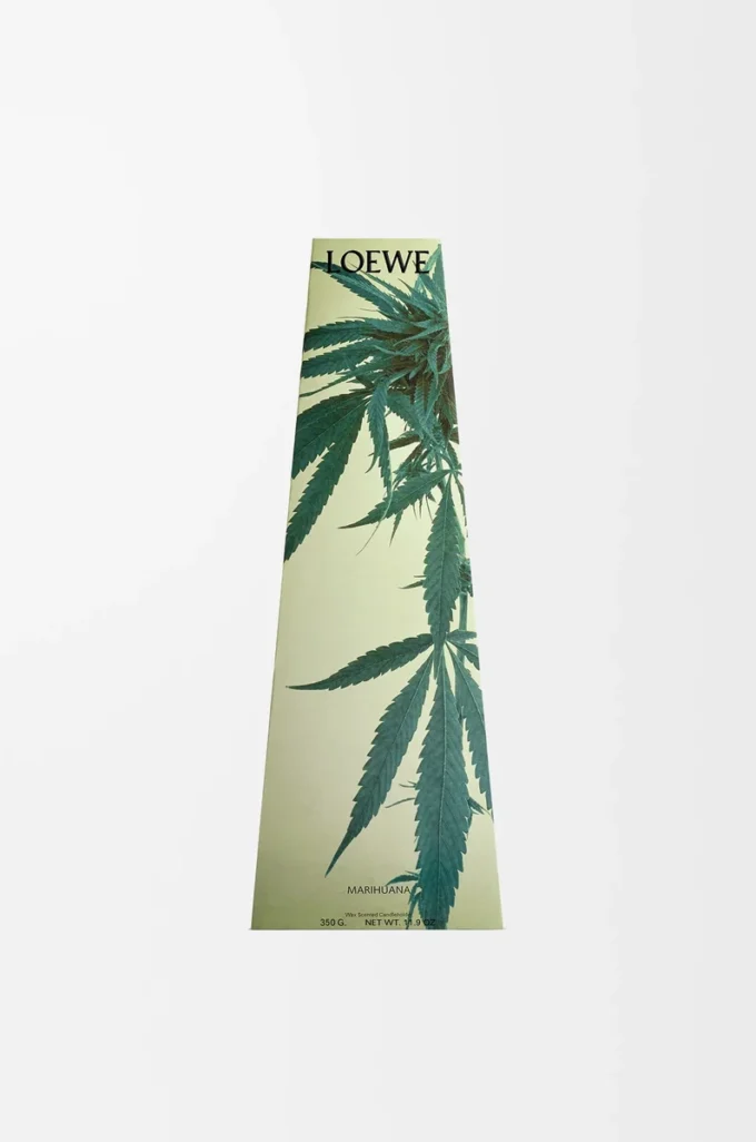 Portavelas de cera con aroma a marihuana Verde oscuro Portavelas de cera con aroma a marihuana Verde oscuro