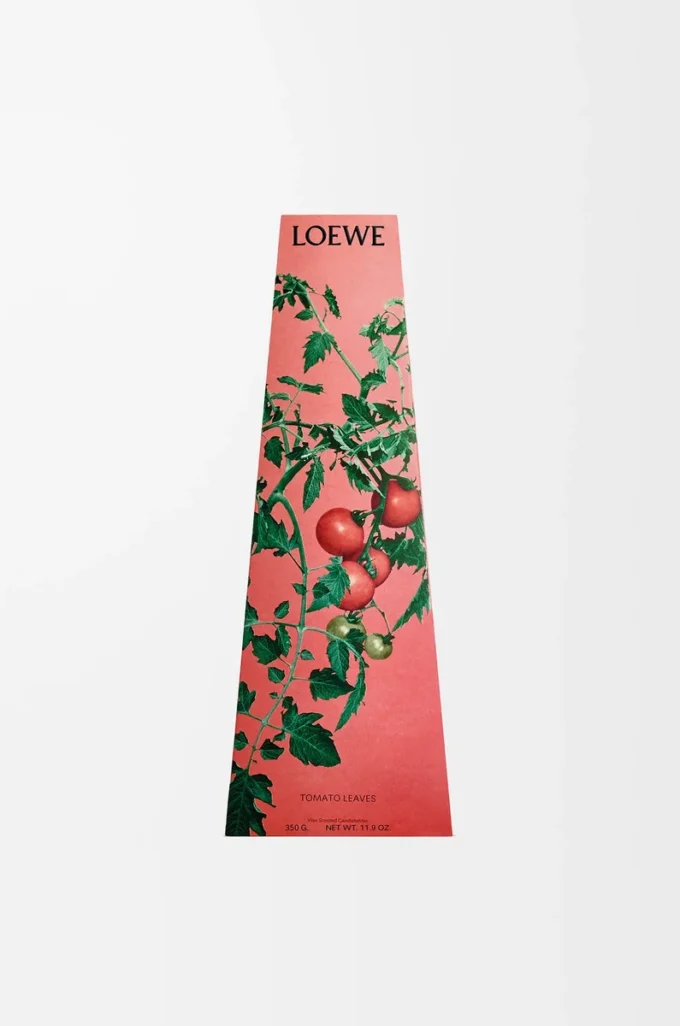 Portavelas de cera Tomato Leaves Rojo Portavelas de cera Tomato Leaves Rojo