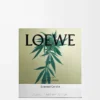 Vela grande con aroma a marihuana, verde oscuro Vela grande con aroma a marihuana, verde oscuro