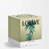 Vela grande con aroma a marihuana, verde oscuro Vela grande con aroma a marihuana, verde oscuro