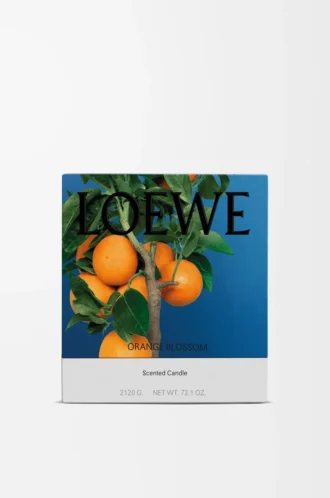 Vela grande de azahar Mandarina brillante