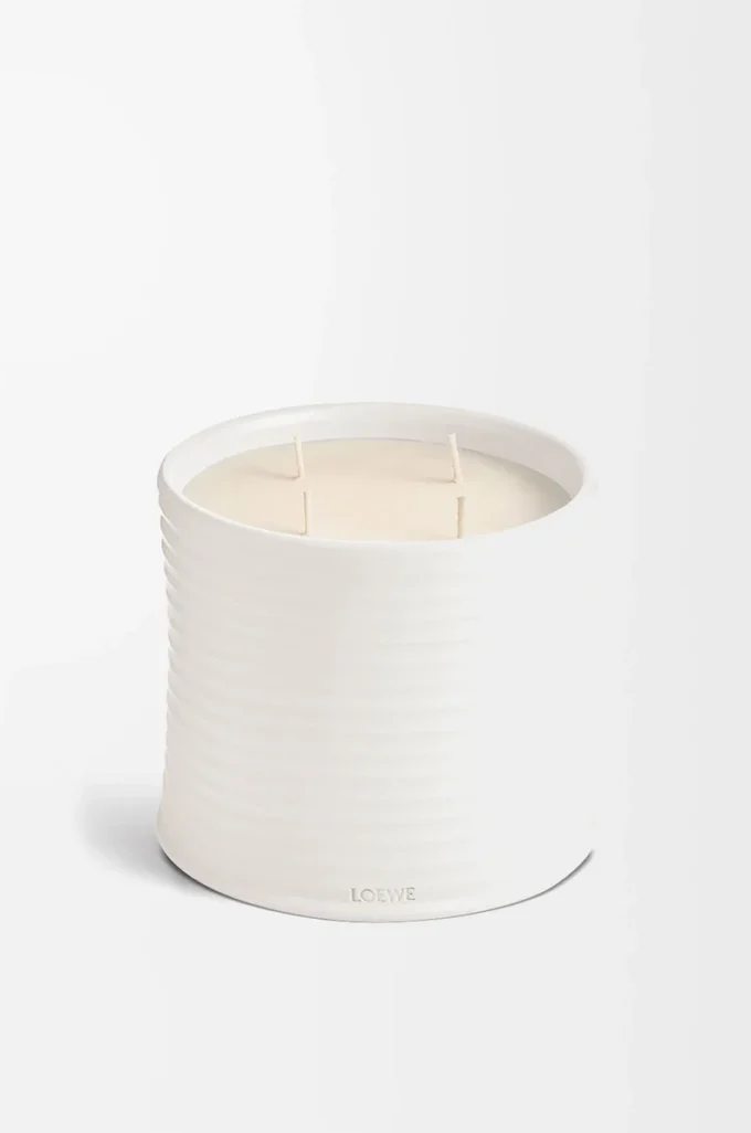 Vela grande de orégano blanco Vela grande de orégano blanco