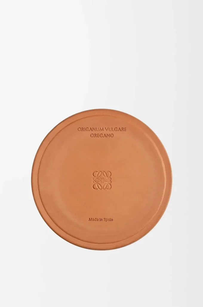 Vela grande de orégano blanco Vela grande de orégano blanco