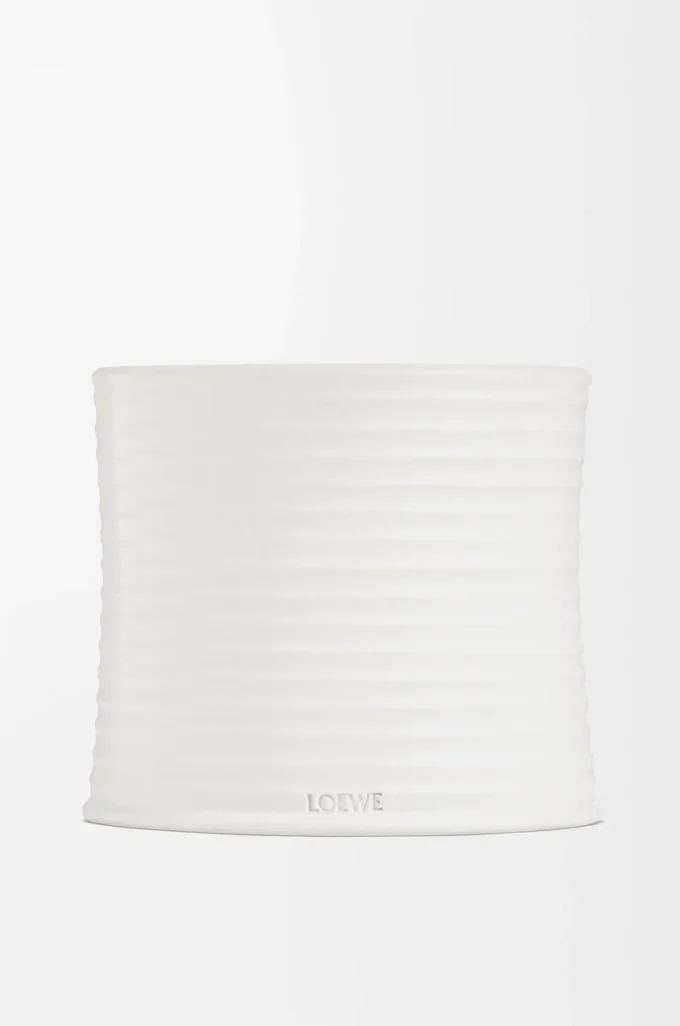 Vela grande de orégano blanco Vela grande de orégano blanco