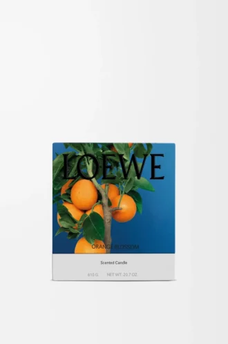 Vela mediana de azahar Mandarina brillante