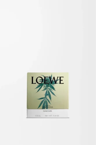 Vela pequeña con aroma a marihuana Verde oscuro