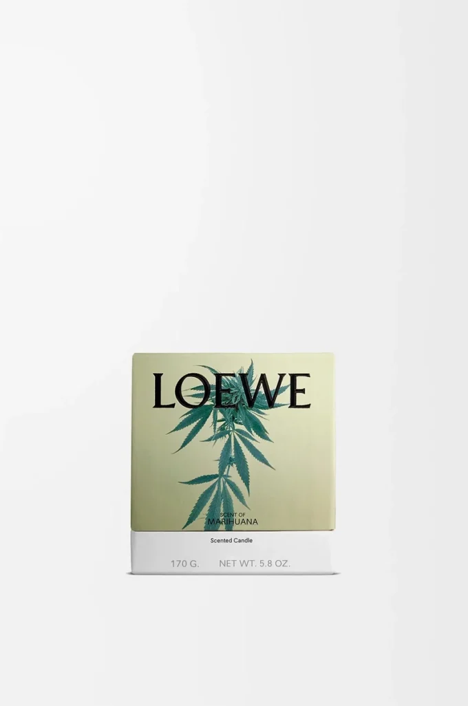 Vela pequeña con aroma a marihuana Verde oscuro Vela pequeña con aroma a marihuana Verde oscuro