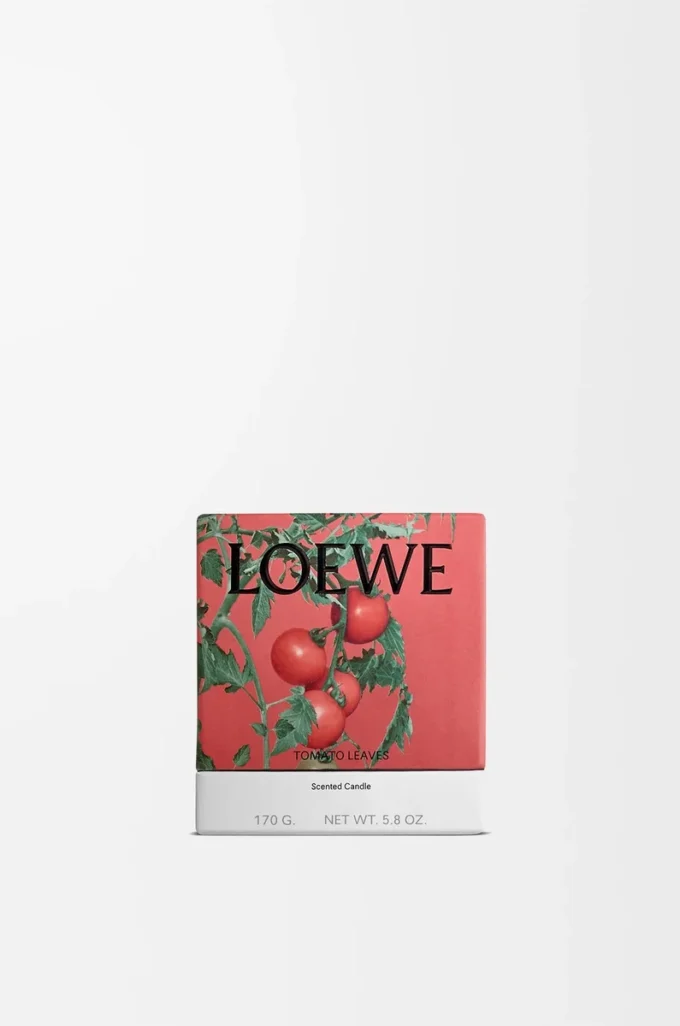 Vela pequeña de hojas de tomate Roja Vela pequeña de hojas de tomate Roja