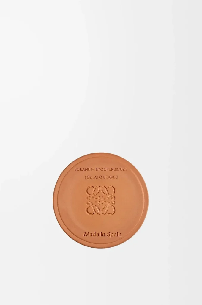 Vela pequeña de hojas de tomate Roja Vela pequeña de hojas de tomate Roja