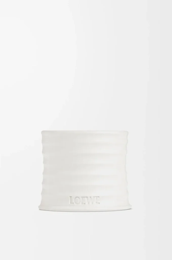 Vela pequeña de orégano blanco Vela pequeña de orégano blanco