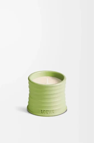 Vela pequeña de pepino verde claro