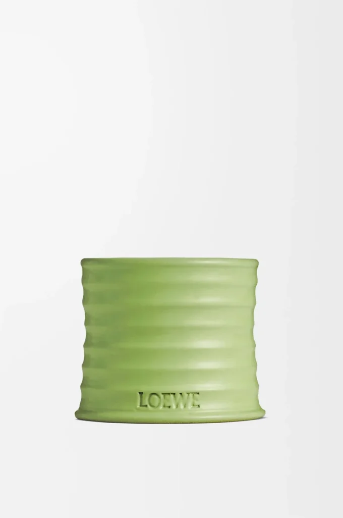 Vela pequeña de pepino verde claro Vela pequeña de pepino verde claro