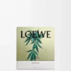 Vela perfumada mediana con aroma a marihuana Verde oscuro Vela perfumada mediana con aroma a marihuana Verde oscuro