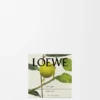 Vela perfumada Midi Earl Grey Oro Vela perfumada Midi Earl Grey Oro